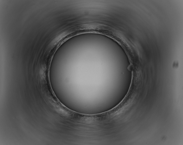 X0000090410778200707131146
