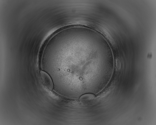 X0000090410780200707131146