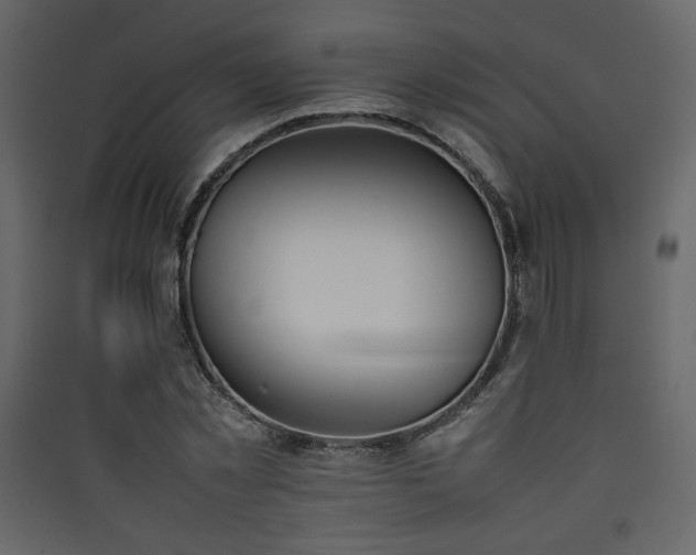 X0000090410781200707131146
