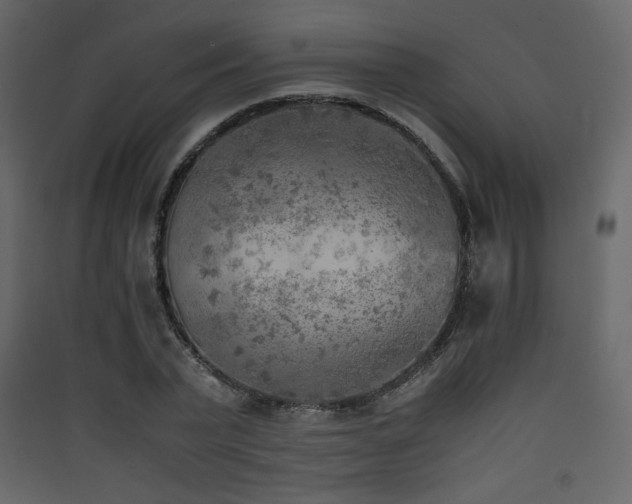X0000090410783200707131146