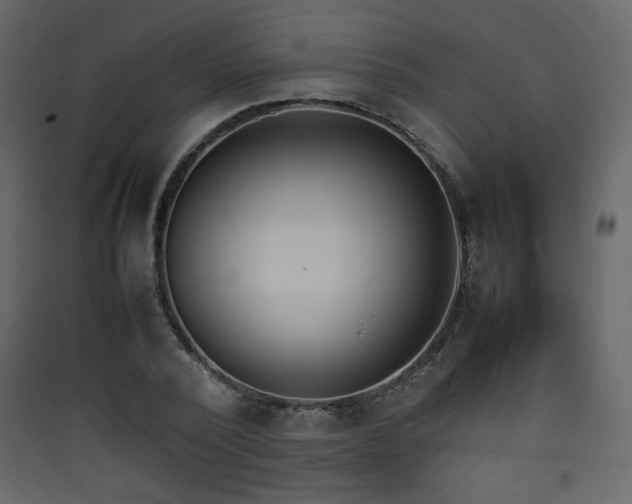 X0000090410784200707131146