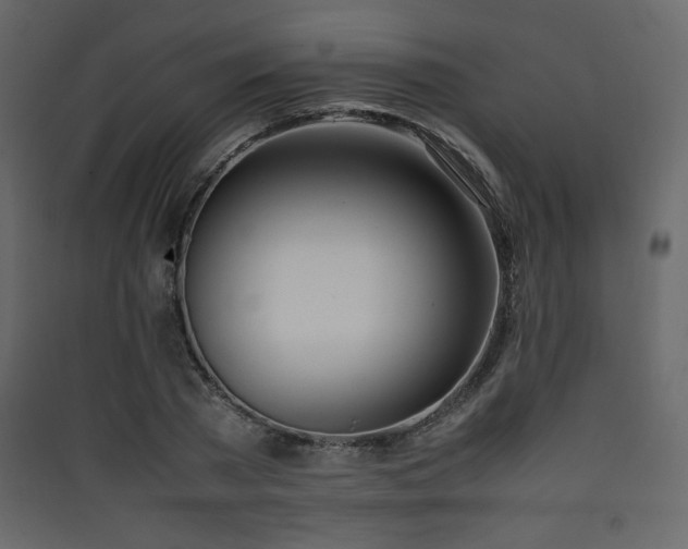 X0000090410785200707131146