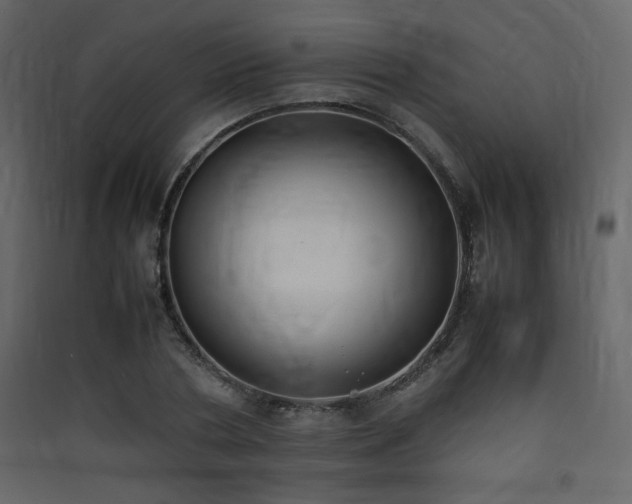 X0000090410786200707131146