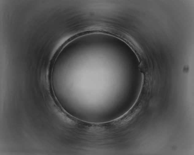 X0000090410788200707131146
