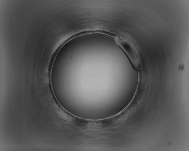 X0000090410789200707131146
