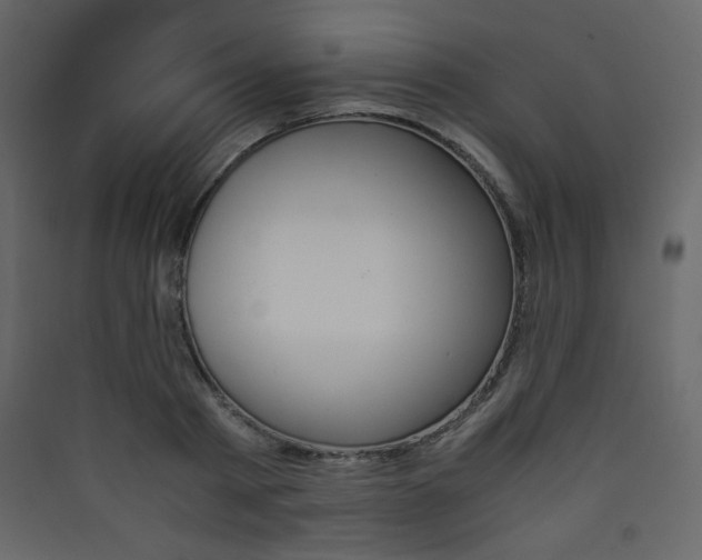 X0000090410793200707131146