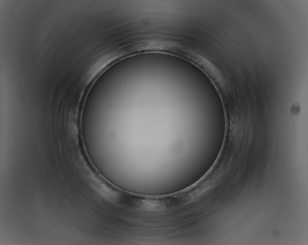 X0000090410794200707131146