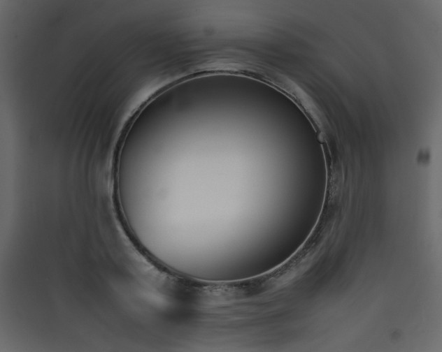 X0000090410795200707131146