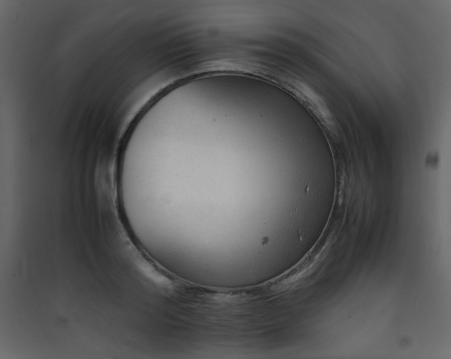 X0000090410796200707131146