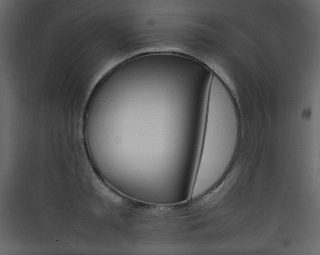 X0000090410797200707131146