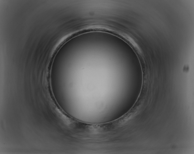 X0000090410799200707131146