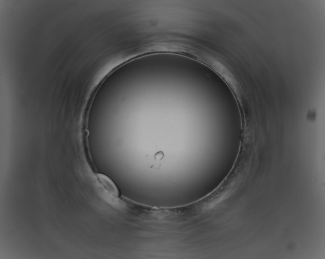 X0000090410803200707131146