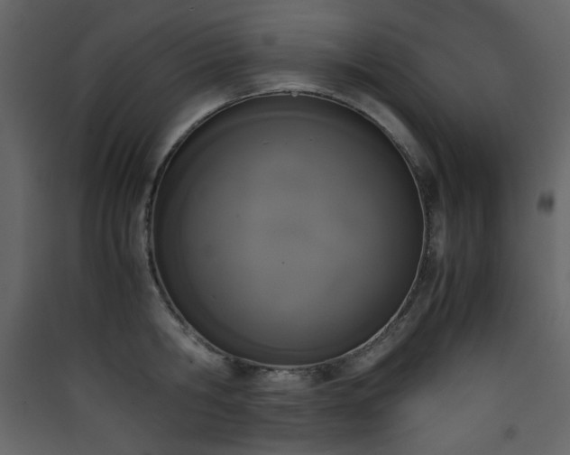 X0000090410806200707131146