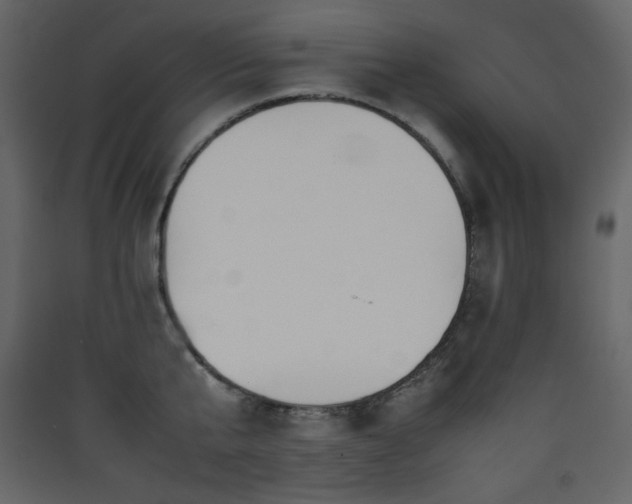 X0000090410807200707131146