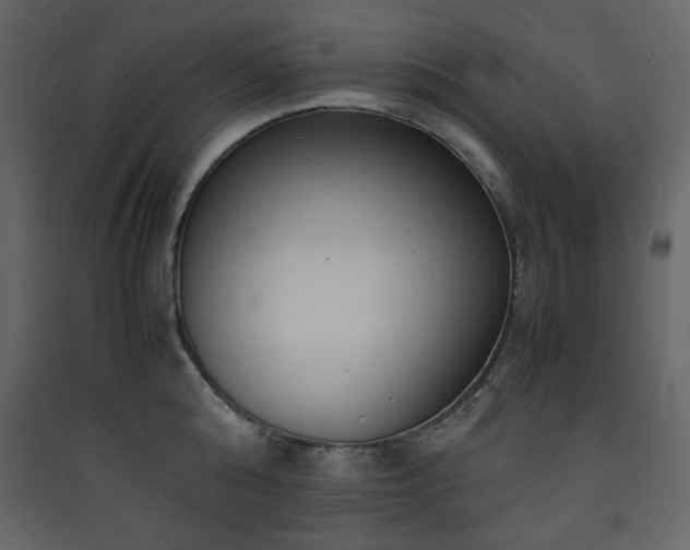 X0000090410808200707131146