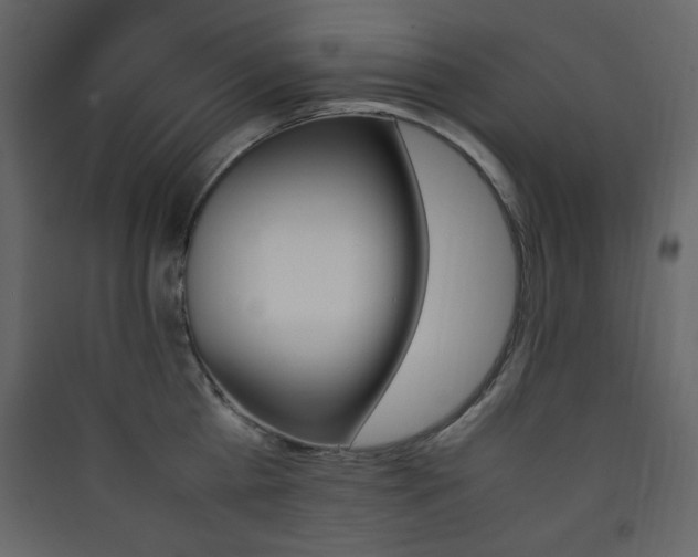 X0000090410809200707131146
