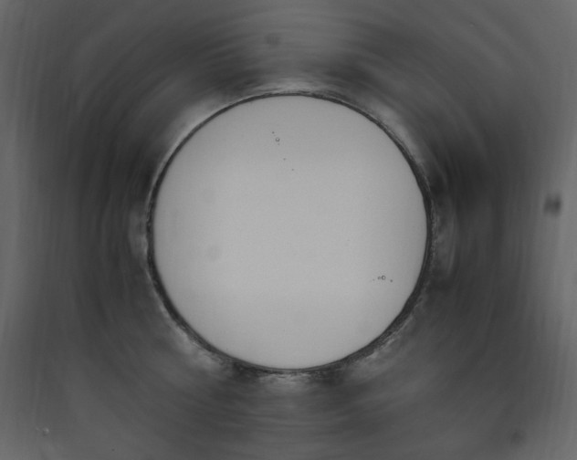 X0000090410810200707131146