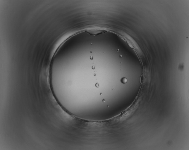 X0000090410812200707131146