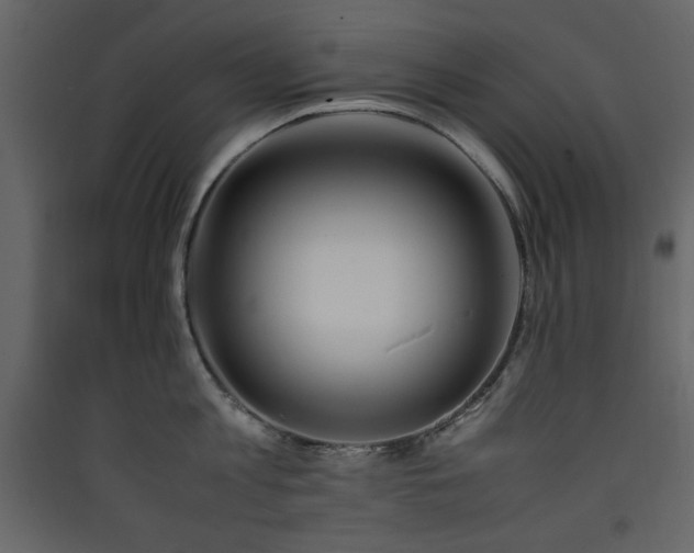 X0000090410813200707131146