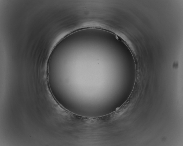 X0000090410815200707131146