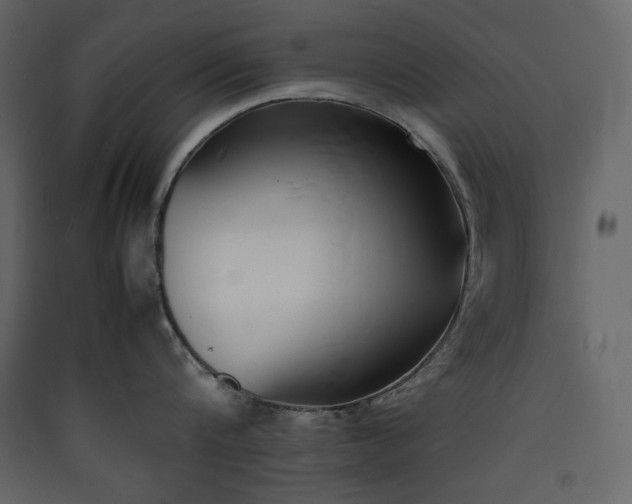 X0000090410816200707131146