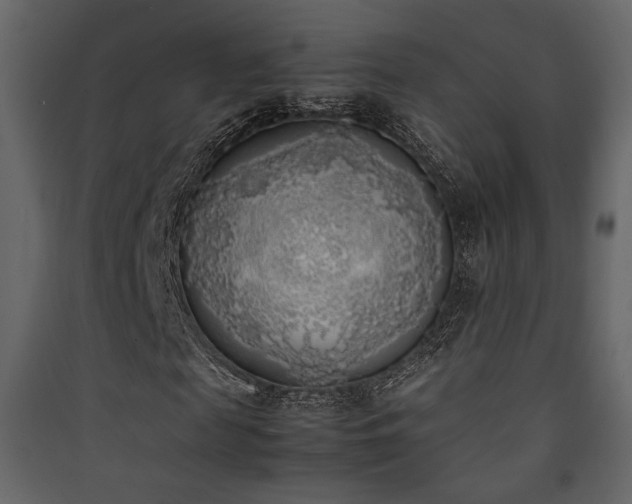 X0000090410817200707131145