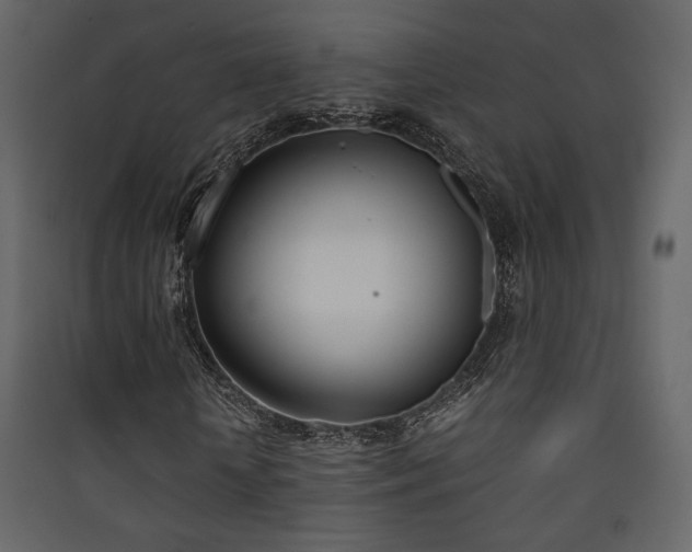 X0000090410818200707131145