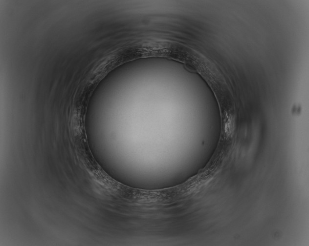 X0000090410819200707131145