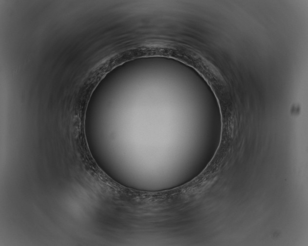 X0000090410821200707131145