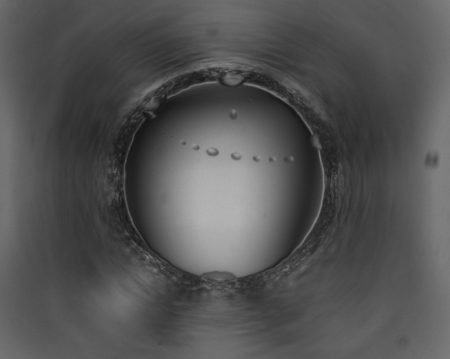 X0000090410822200707131145