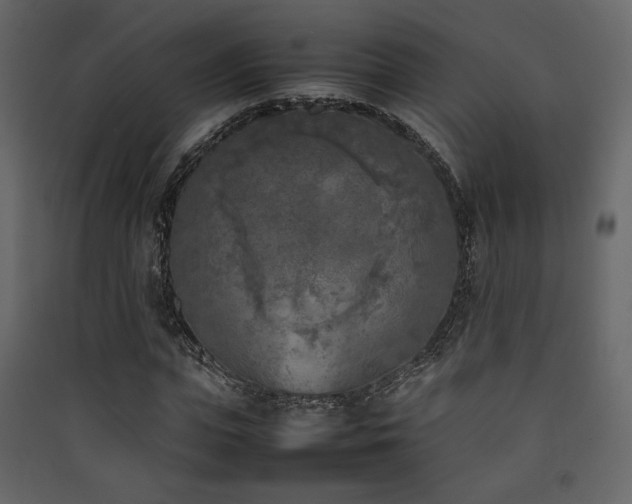 X0000090410823200707131145