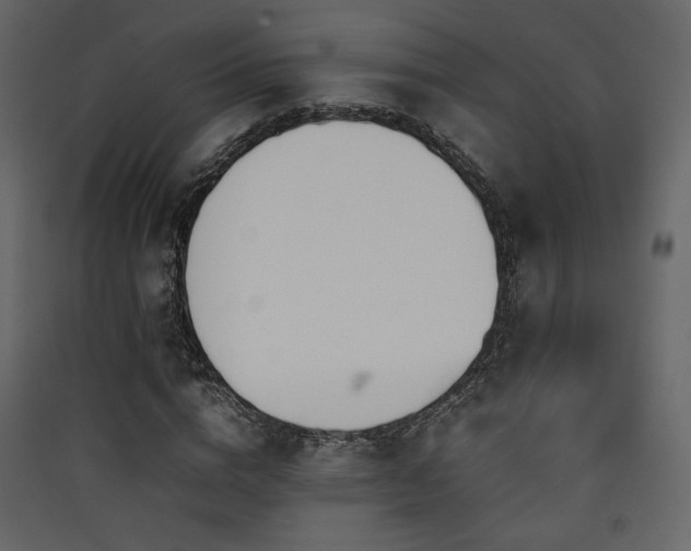 X0000090410824200707131145