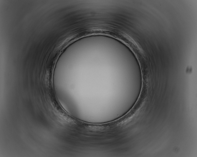 X0000090410825200707131145