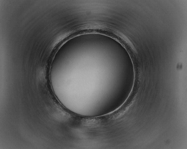 X0000090410826200707131145