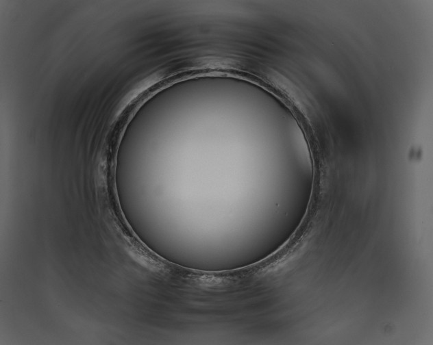 X0000090410827200707131145