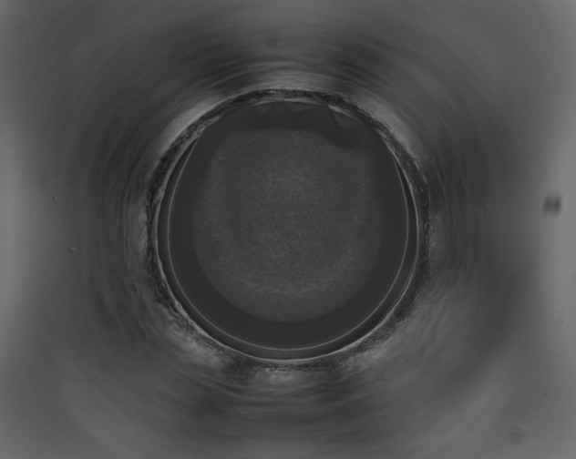 X0000090410829200707131145