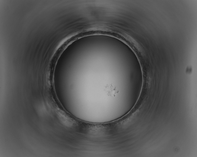 X0000090410830200707131145