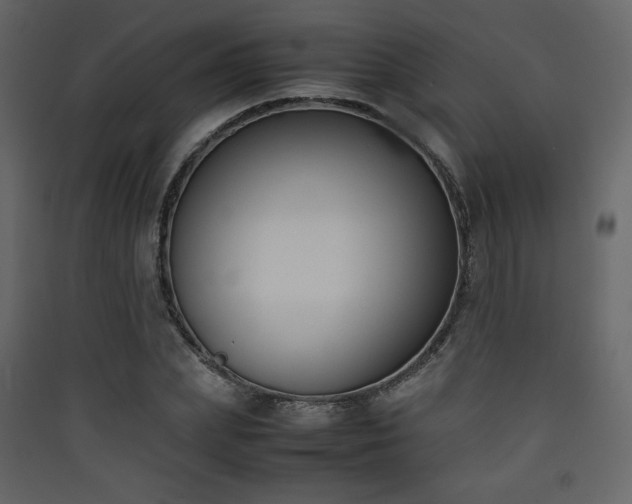X0000090410831200707131145