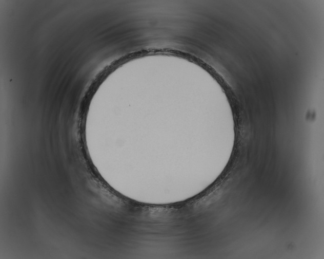 X0000090410832200707131145