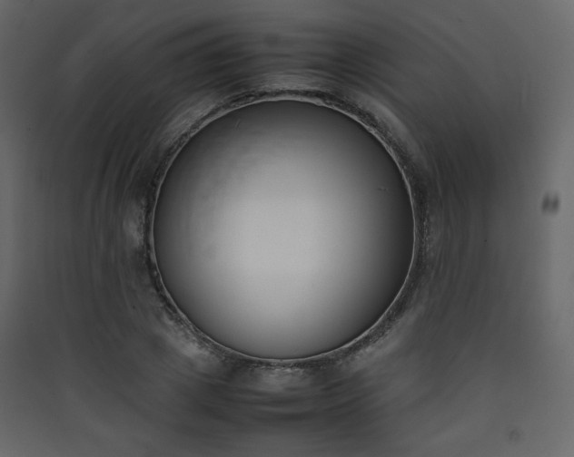 X0000090410833200707131145