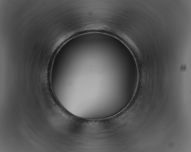 X0000090410834200707131145