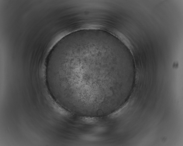 X0000090410835200707131145