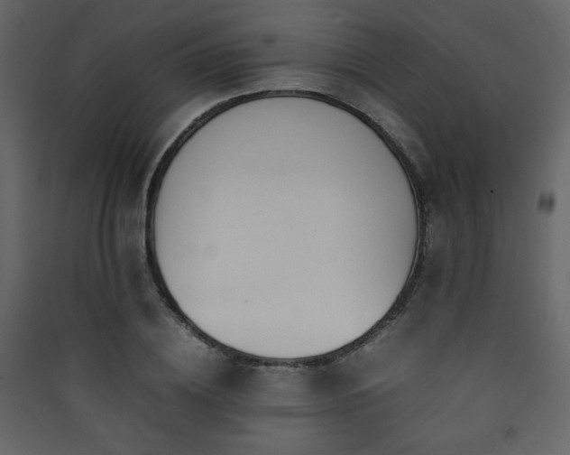 X0000090410836200707131145