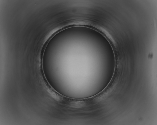 X0000090410837200707131145