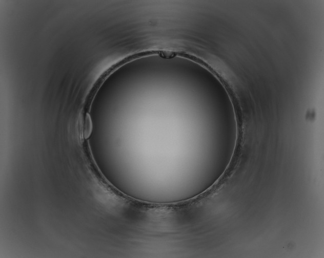 X0000090410838200707131145