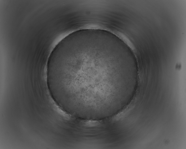 X0000090410839200707131145