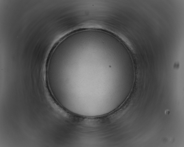 X0000090410840200707131145