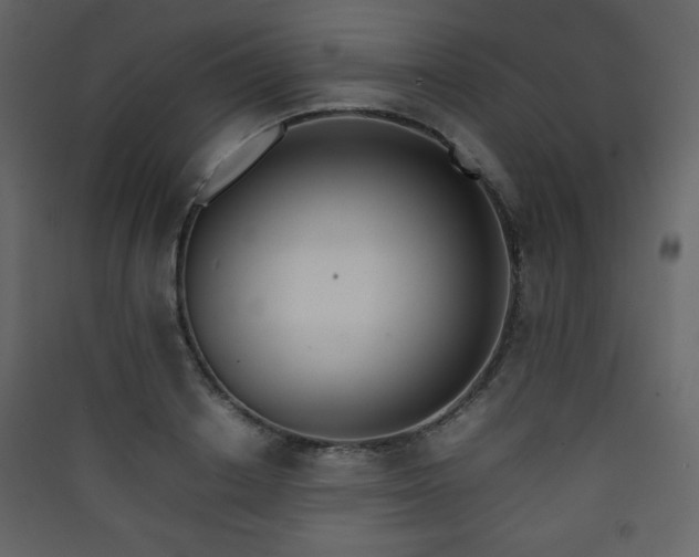 X0000090410842200707131145