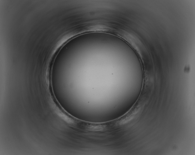 X0000090410843200707131145