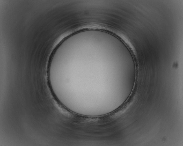 X0000090410845200707131145